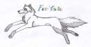 For Yade(WG)