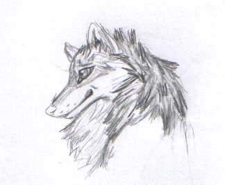 Fur