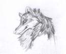 Fur