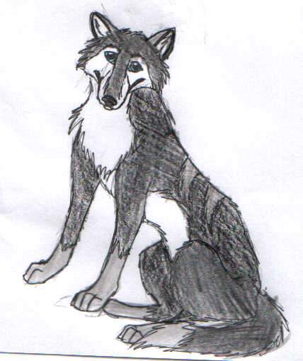 Trade with Shadow.Wolf