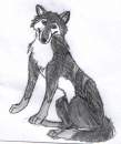 Trade with Shadow.Wolf