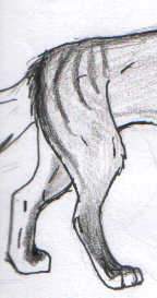 diff part of ._Lunar_.'s char