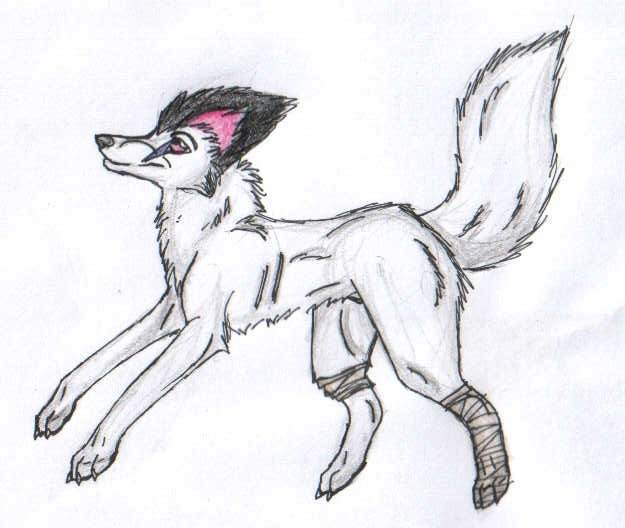 DeafWolf