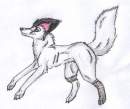 DeafWolf