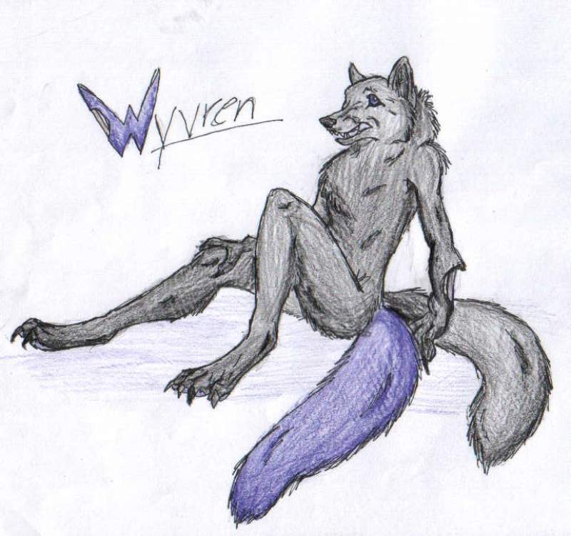 Wyvren!