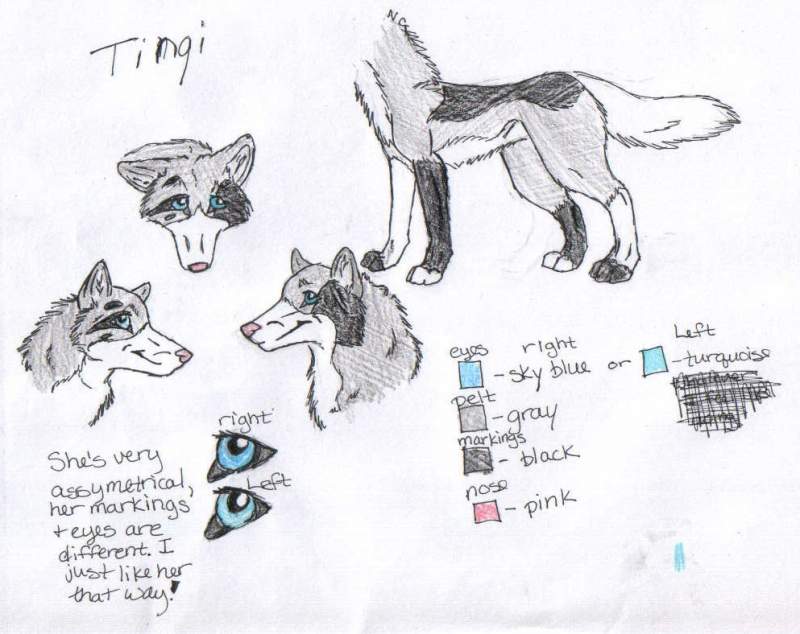 Tingi Ref.