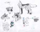 Tingi Ref.