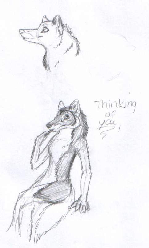 Sketches