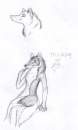 Sketches