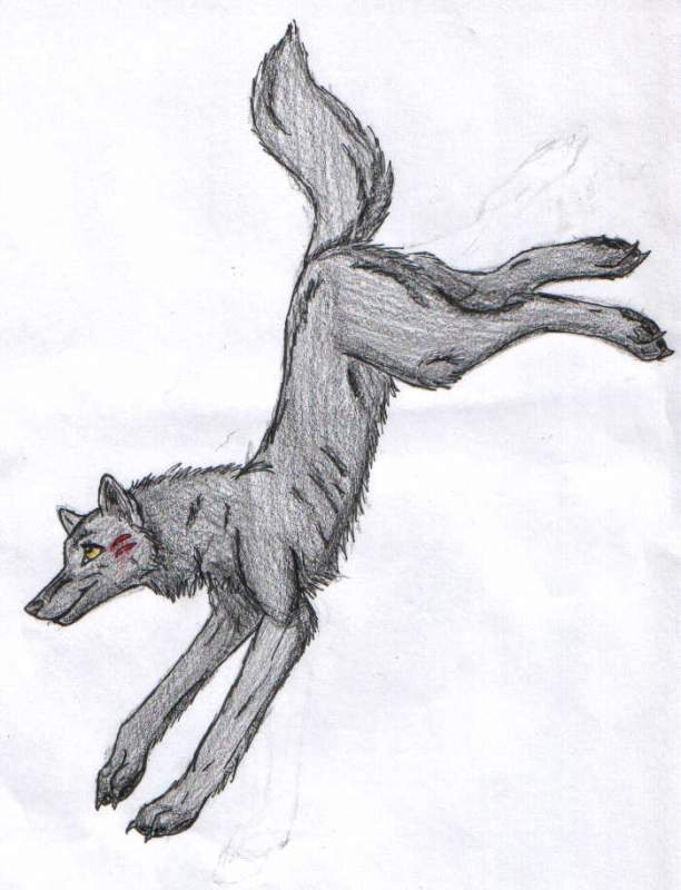 For Kirada