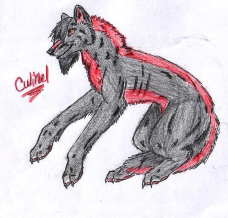 For Mystik_Wolf