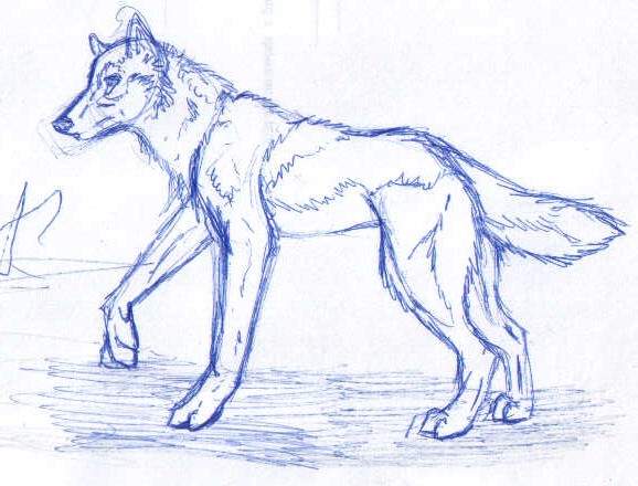 Pen sketchy