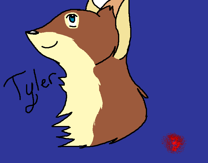 Tyler 8D