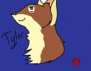 Tyler 8D