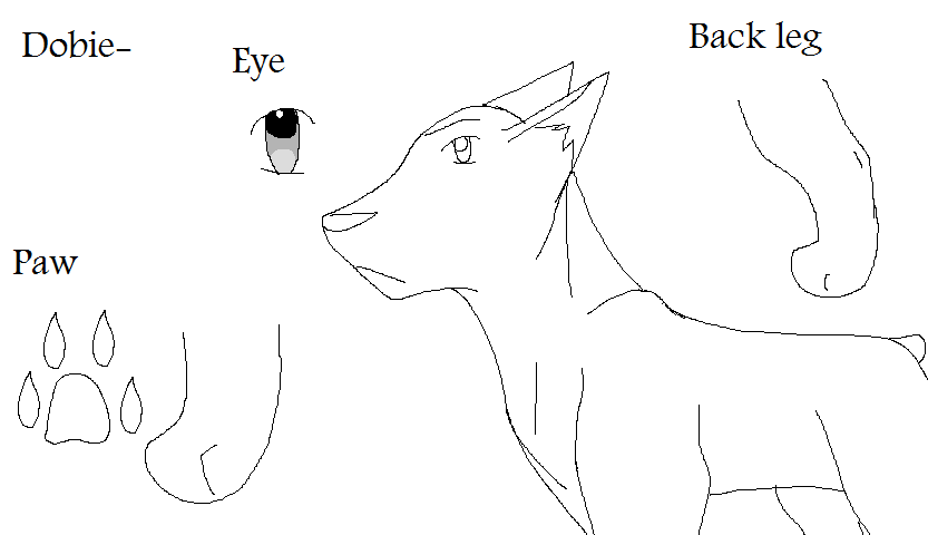 Dobie character sheet~