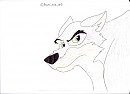 Balto