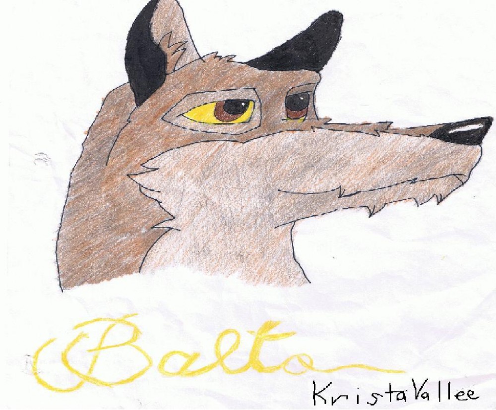 Balto by Krista Vallee