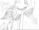 jake