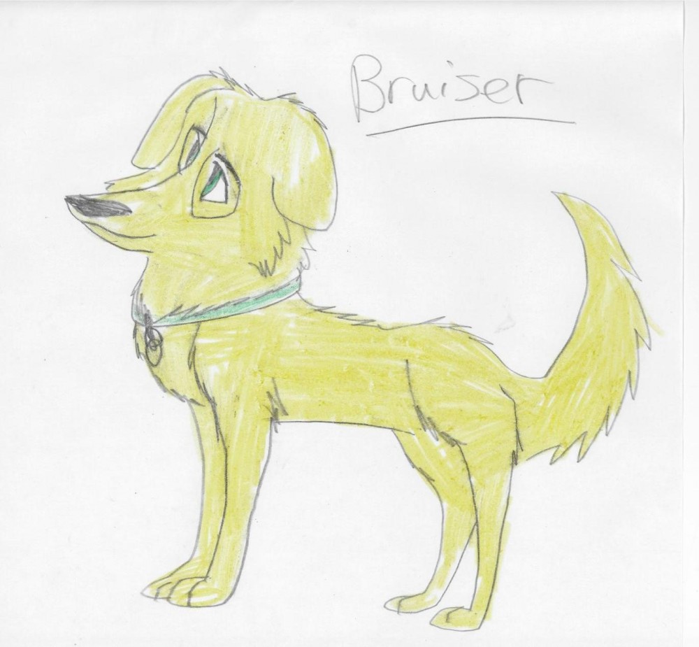 new character:Bruiser