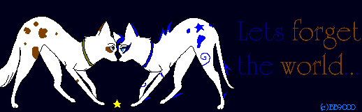 Two dogs!:D