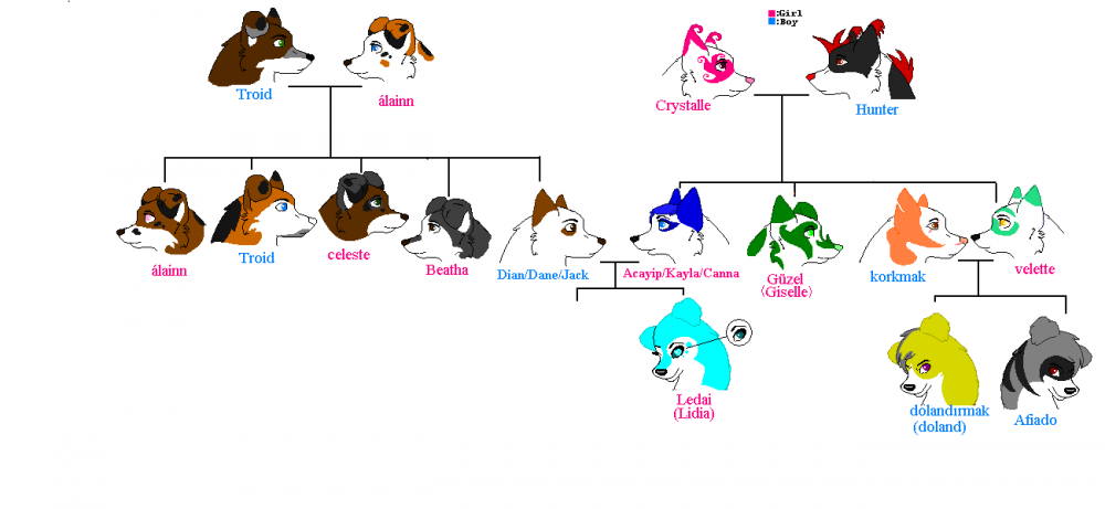 Acayip and Dian's families