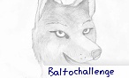 baltochallenge