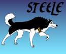Steele