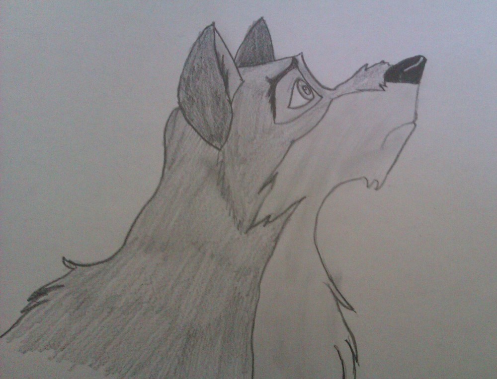 Balto