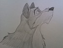 Balto
