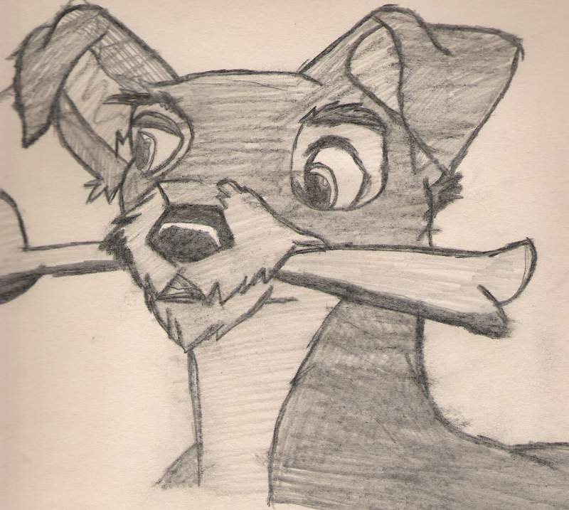 disney's lady & the Tramp