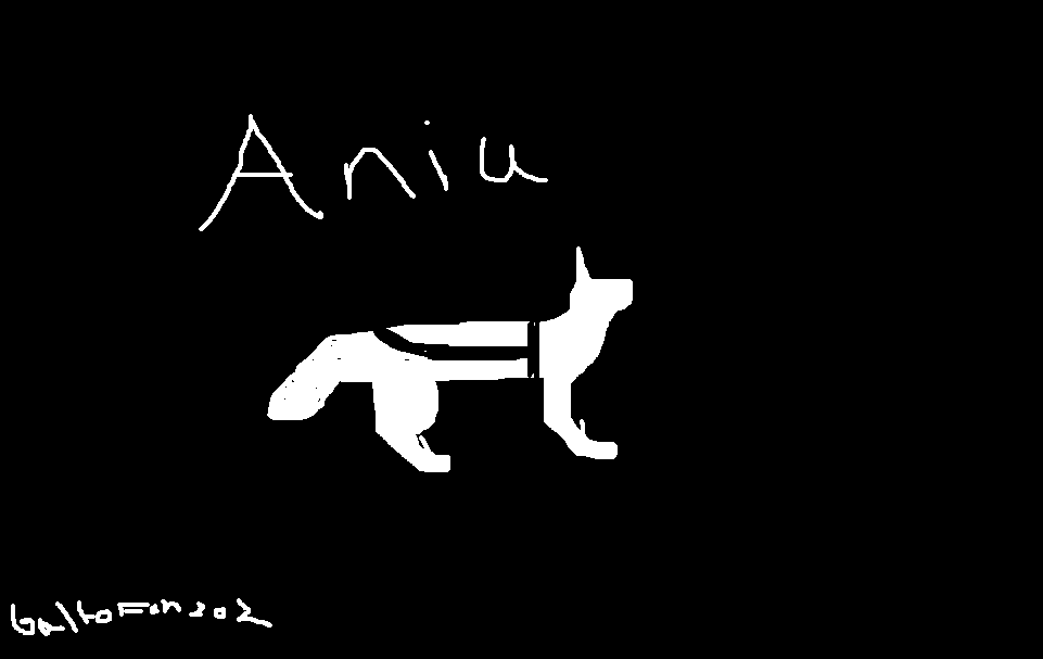 Aniu the white wolf