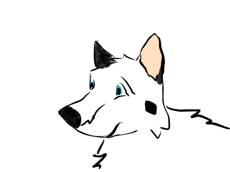 Wolfie the Pack leader