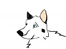 Wolfie the Pack leader