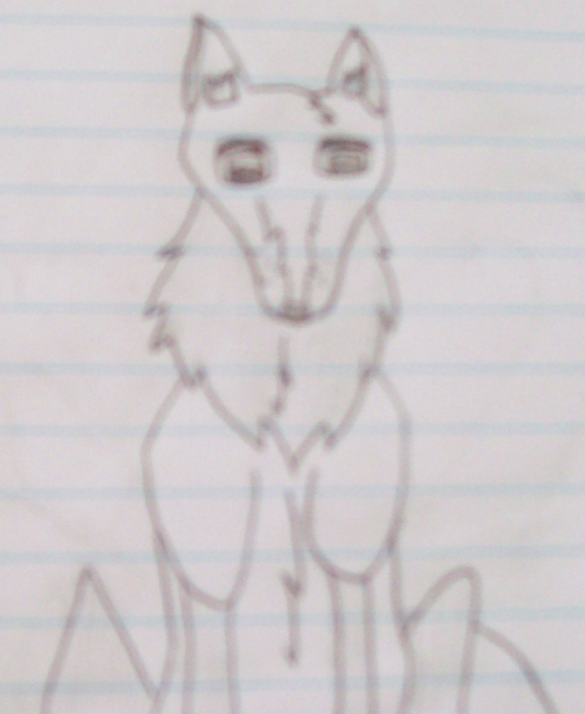 Anui