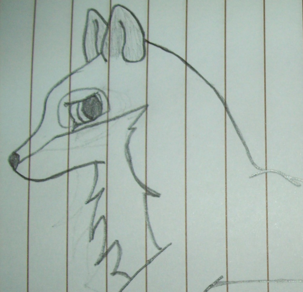 Just a random drawing when I was board ^^