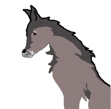 Just a random drawing ^^