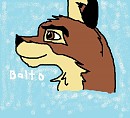 First Attempt Balto