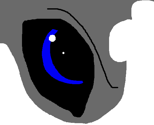 The Eye of the husky