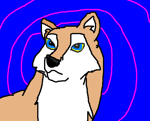 Aleu the wolfdog