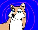 Aleu the wolfdog