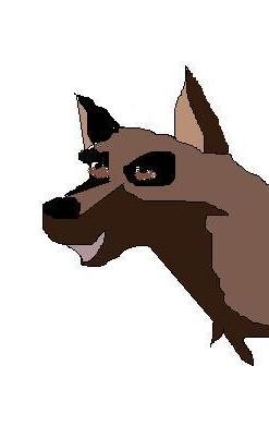 Brown wolf