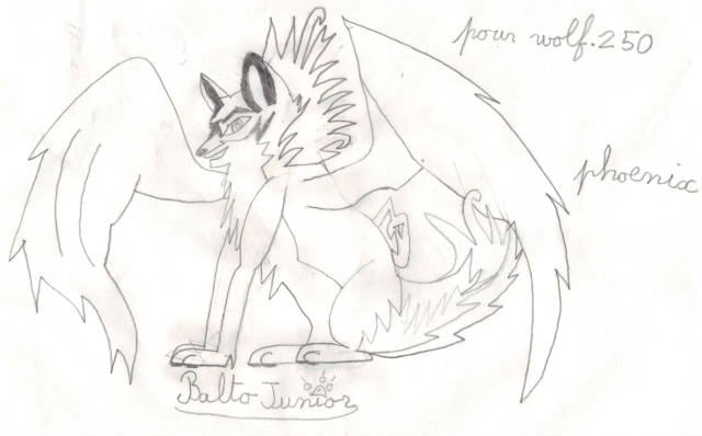 phoenix-pour Wolf.250