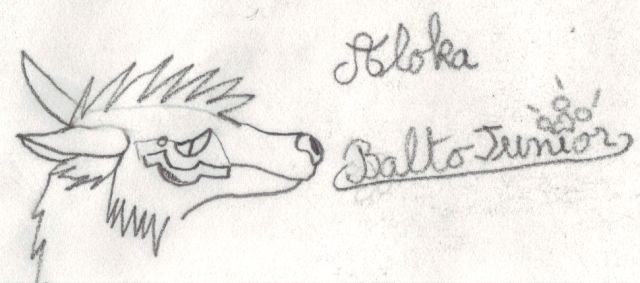 Aloka