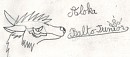 Aloka