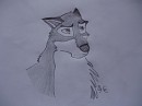 Balto