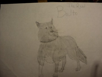 The Real Balto!!!