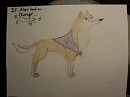 If Aleu Had an Owner...