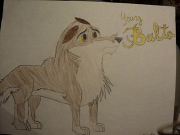 Young Balto