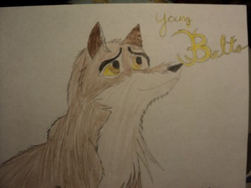 A Hopeful Young Balto