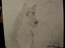Aleu. Again.